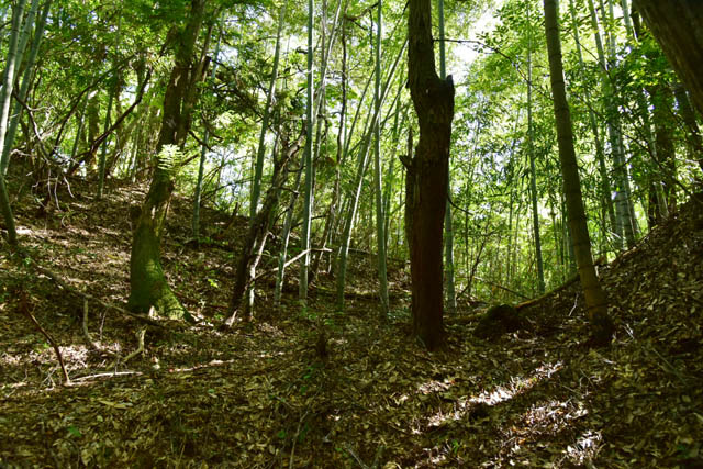 高森城 ／城跡巡り備忘録 京都府