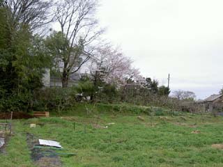 十七条城 /城跡巡り備忘録 岐阜県