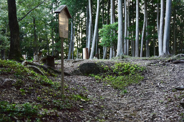 揖斐城 ／城跡巡り備忘録 岐阜県