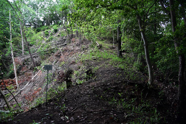 天神山城・裏天神山城 ／城跡巡り備忘録 岐阜県