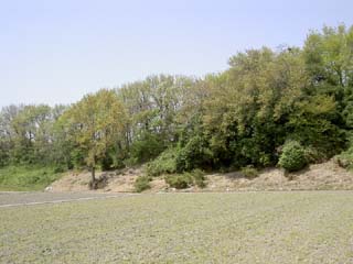 勝山+姉川合戦場 /城跡巡り備忘録 滋賀県